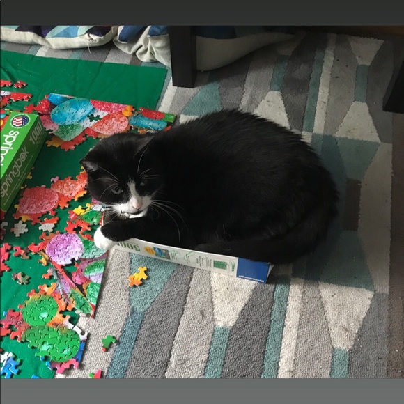 Meet your Posher, Polina - Picture 1 of 1